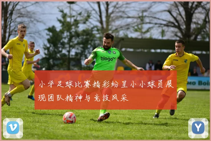 小学足球比赛精彩纷呈小小球员展现团队精神与竞技风采