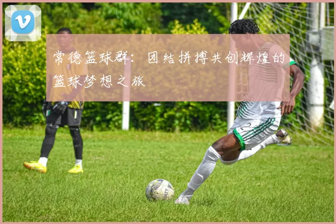 常德篮球群：团结拼搏共创辉煌的篮球梦想之旅