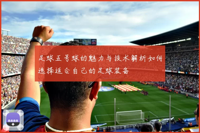 足球五号球的魅力与技术解析如何选择适合自己的足球装备