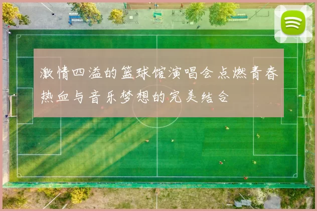激情四溢的篮球馆演唱会点燃青春热血与音乐梦想的完美结合