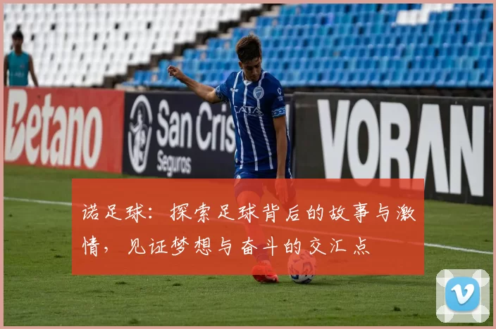诺足球：探索足球背后的故事与激情，见证梦想与奋斗的交汇点