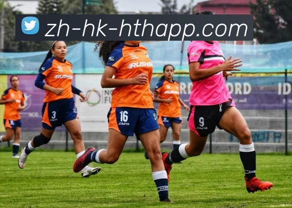 华体会发展历程